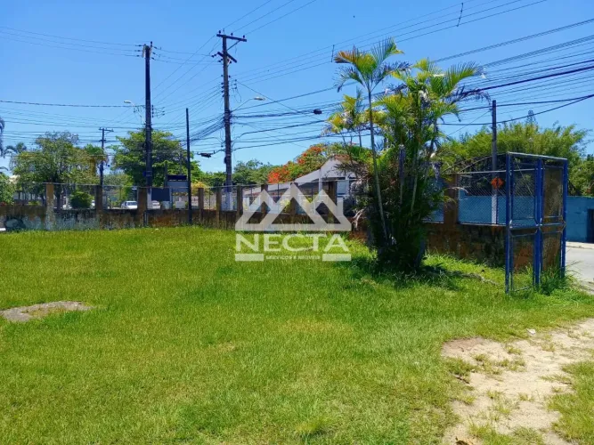 Terreno para Locação no Morro do Algodão com 1.740 m² Excelente Potencial Comercial
