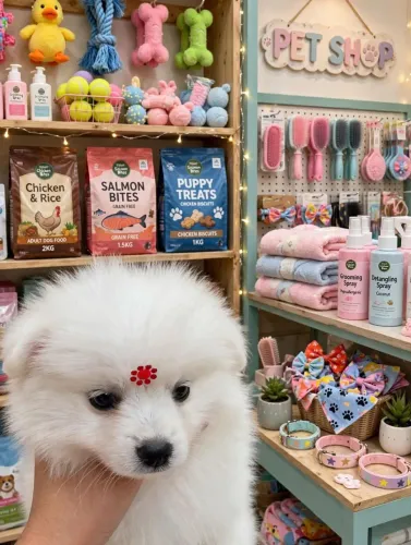 LULU DA POMERÂNIA/SPITZ ALEMÃO