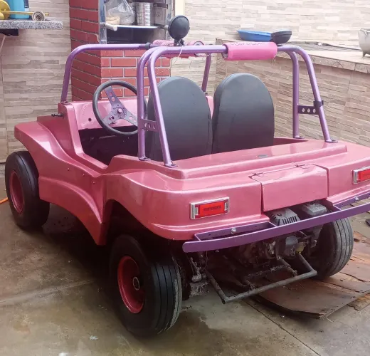 Mini bugre
