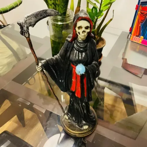 Imagem ROSA CAVEIRA