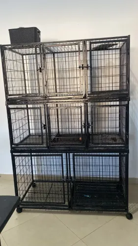 gaiola de pet shop
