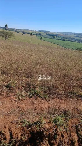 Chácara de 3 Alqueires à Venda Ouro Verde de Goiás/GO
