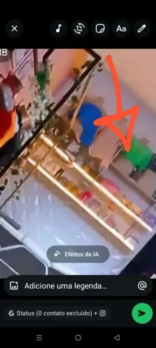 Arara e platileira industrial