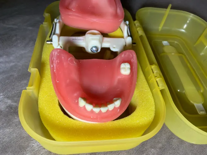 Manequim pronew prótese 