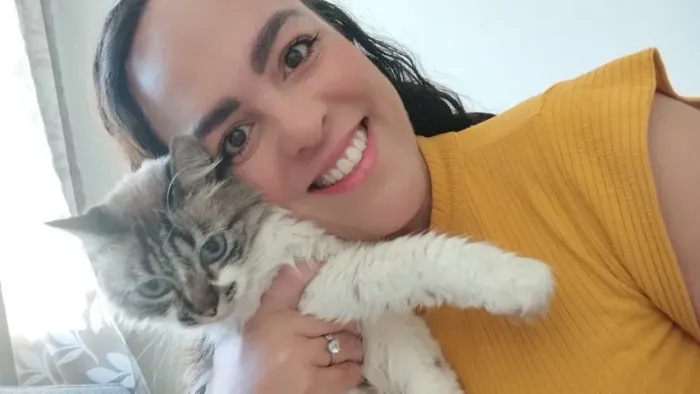 Cat Sitter residencial