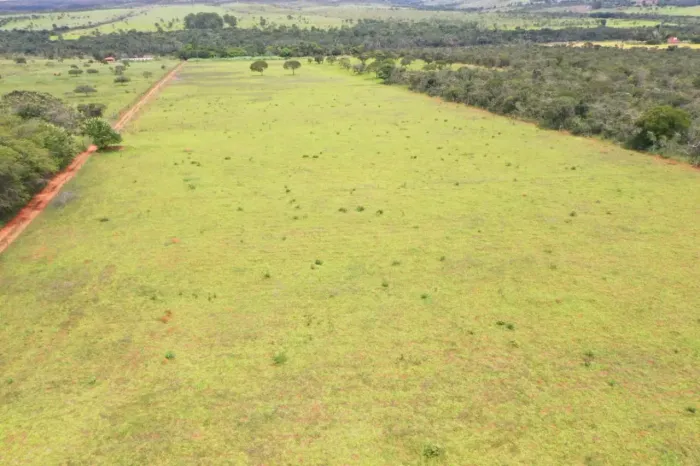 Chácara de 13 Hectares  em Formosa GO - Escriturado e Registrado