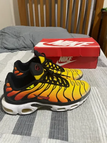Air max plus tn 1 sunset