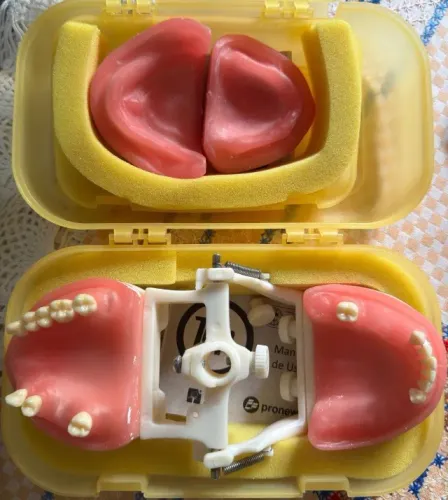 Manequim PT e PPR para Odontologia - Excelente estado | Pronto para uso