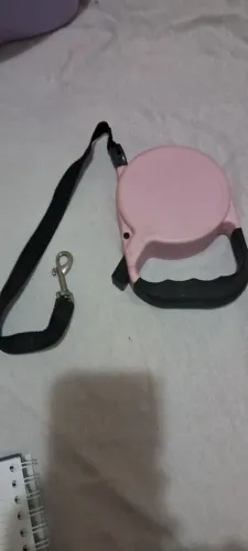 Guia de cachorro