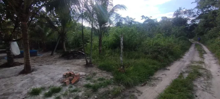 Terreno em Mosqueiro