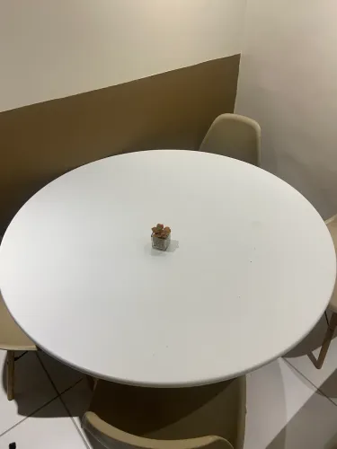 Mesa de jantar redonda (SOMENTE A MESA)