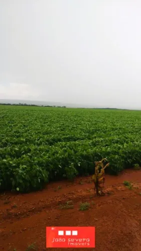 Fazenda para Venda em Diamantino