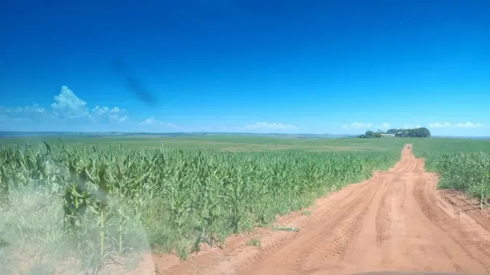 Fazenda para venda no PR. NOROESTE.