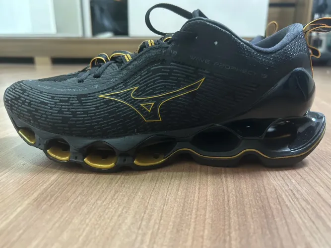 Mizuno prophecy 13