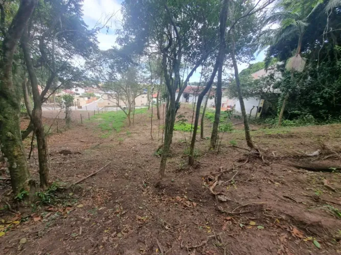 Imóvel para venda possui 7000 metros quadrados em Ponta das Canas - Florianópolis - SC