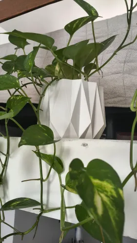 Cachepot branco (para vasos de até 11 cm de diâmetro)