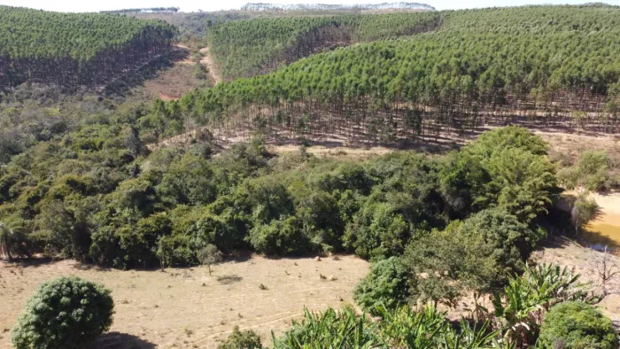 Imóvel para venda tem 20000 metros quadrados em Zona Rural - Cordisburgo - MG