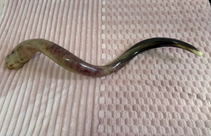 SHOFAR DE ANTÍLOPE 