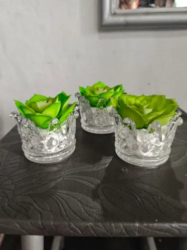 Vasinho de suculentas
