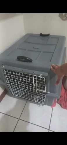 Vendo caixa de transporte pet grande