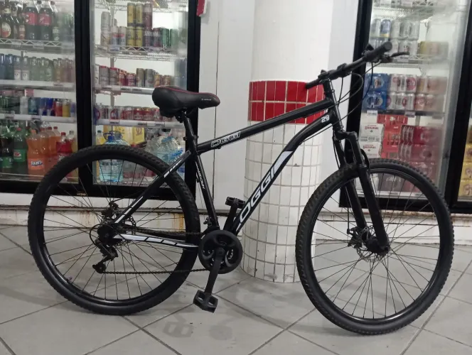 Bicicleta aro 29 oggi