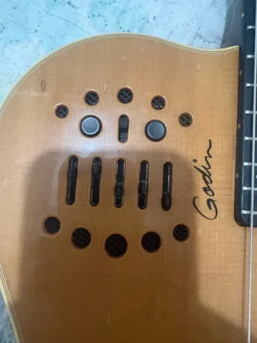 Godin Sa