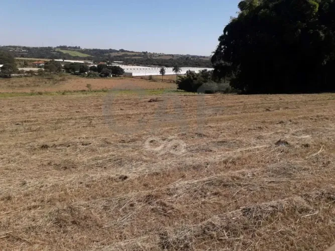 Sítio à venda, 56000 m² por R$ 2.128.000,00 - Alegre - Holambra/SP