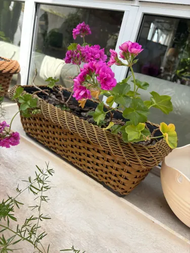 Jardineira rattan marrom 38x18 (com prato)
