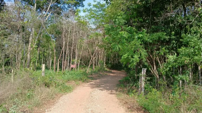 Chácara 2 alqueires - Uruana/Itapuranga