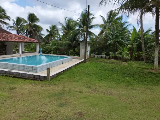 Granja no conde com 15 hectares vende-se ou aluga-se.