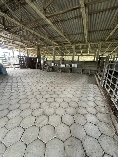 Fazenda para Venda em Imaruí