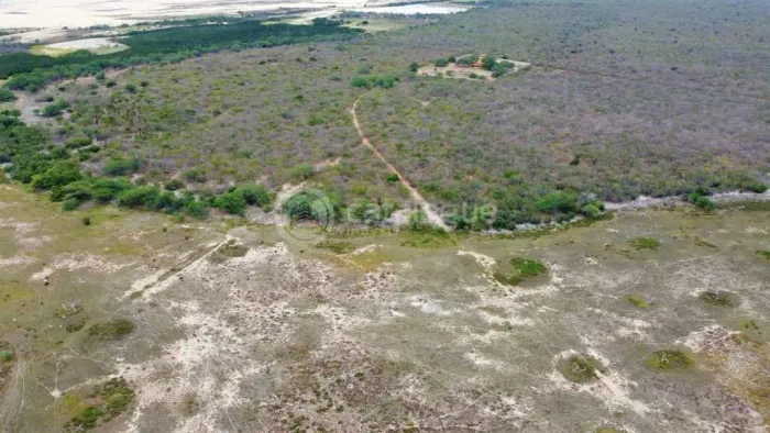 Fazenda em Caíçara do Norte 552 Ha