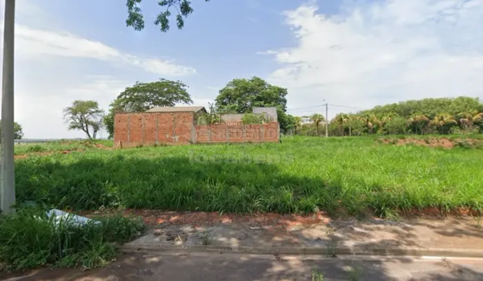 Terreno Padrão em Mirassol