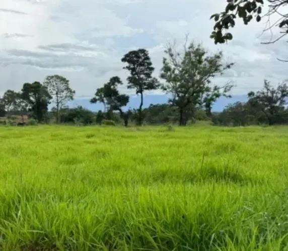 Área de 3 alqueires a venda