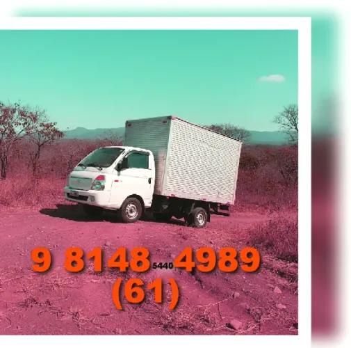 Frete em Brasília, Asa Sul, Asa Norte, Guará, Sudoeste, Águas Claras e Lago Sul com a W1G2