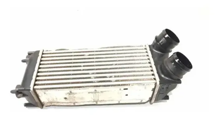 Intercooler Citröen C4 Lounge Thp Flex 2016 2017 2018