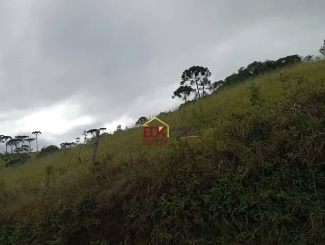 Fazenda com 1 dormitório à venda, 980000 m² por R$ 1.800.000,00 - Zona Rural - Liberdade/M