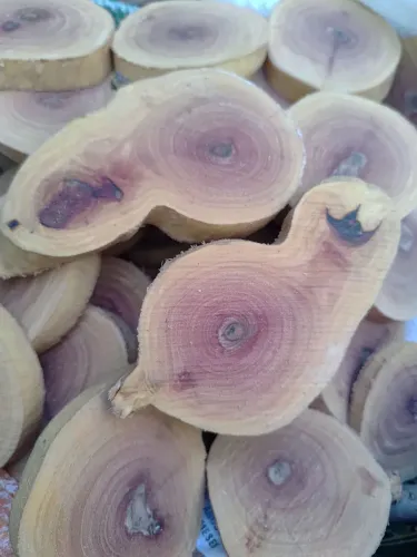 Bolachas de madeira