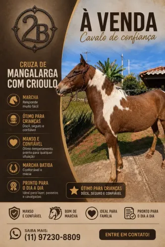 Cavalo criolo