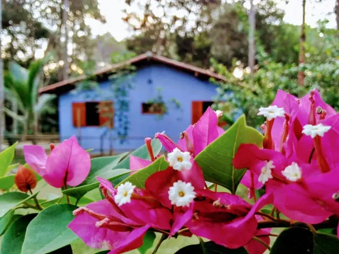 A venda 3 excelentes casas no bairro do Aderno - Itacaré - Bahia
