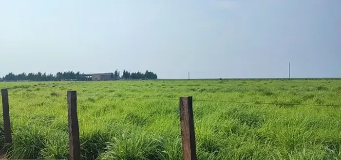 3.266 alqueires em Tangará da Serra-MT