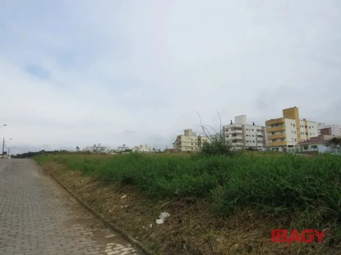 Oportunidade! Terreno em Areias - São José