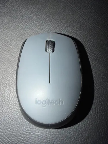 Mouse logitech M170