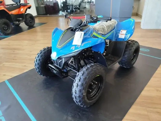 Quadriciclo infantil CFMOTO Cforce 110 lv