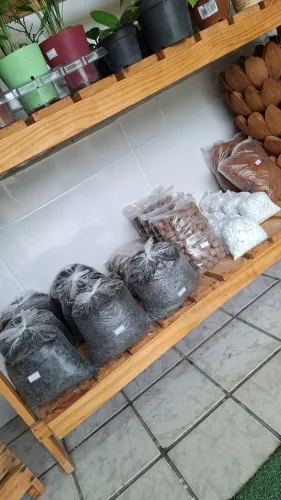 Substratos e Adubos para Jardinagem
