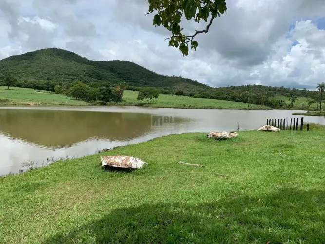 ÁREA - RODOVIA GO, URUAÇU/GO