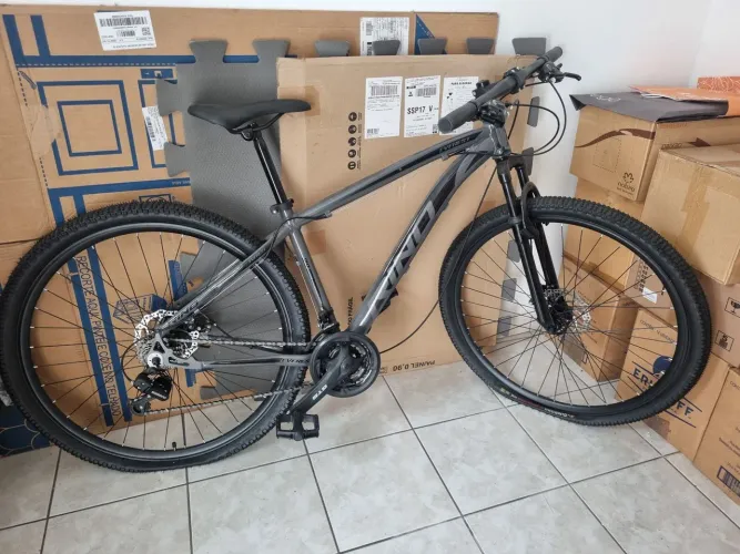 Bicicleta Aro 29 RINO Everest Freio Hidráulico Cambios Shimano 24v - Grafite