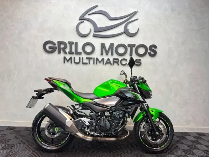 Z 500 ABS