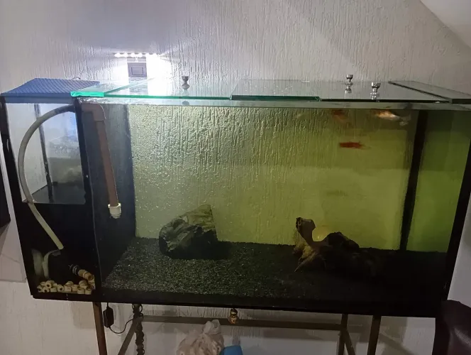 SUMP 200L VIDRO 10MM