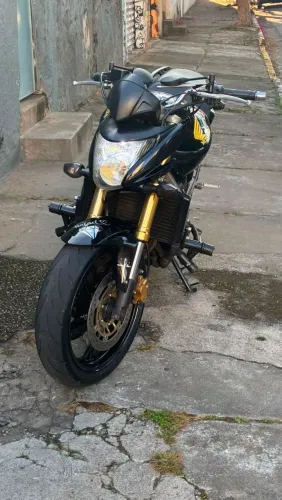 Hornet 2009